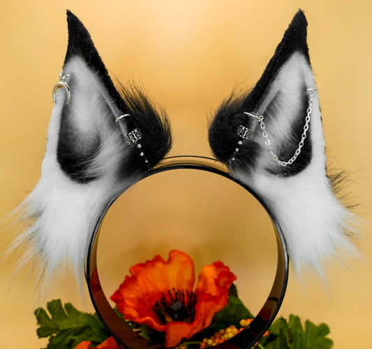 MTO White & Black Ears