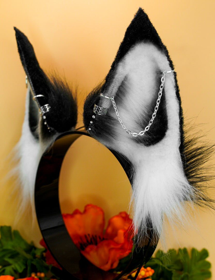 MTO White & Black Ears